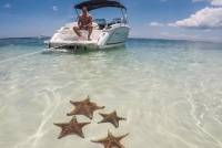Private, luxury, Custom Charters to Stingray City, Snorkeling & More