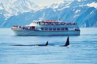 National Park Tour with Fox Island