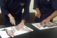 1-Hour Fish-Cutting Lesson with Sushi Instructor in Tsukiji