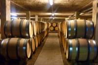 1 Hour Visit and Tasting in Beaune