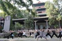 10-Day Shaolin Temple Experience from Beijing