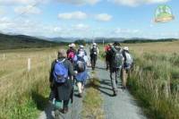 11-Day Ring of Kerry Self-Guided Hike