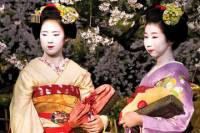 14-Day Classic Japan Tour: Nikko, Hakone, Takayama, Hiroshima and Kyoto from Tokyo