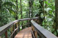 2-Day Cinco Ceibas Rainforest Tour from San Jose