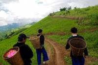 2-Day Hill Tribe Walking Experience