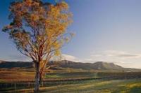 2-Day Hunter Valley and Port Stephens Small-Group Eco-Tour