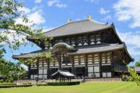 2-Day Kyoto and Nara Rail Tour by Bullet Train from Tokyo