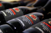 2-Hour Amarone Wine Tasting Valpolicella Classico