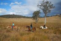 2-Hour Horse Ride in Howes Valley