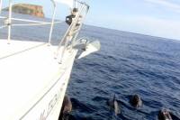 2 Hour Sailing Trip