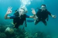 2-Tank Dive Trip from Nassau