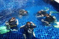 3-Day Advanced Open Water Diving Certification Course in Koh Tao