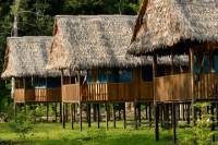 3-Day Amazon Wildlife Observation Tour at Tamshiyacu Reserve from Iquitos
