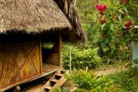 3-Day Iquitos Amazon Jungle Adventure at Ceiba Tops Luxury Lodge