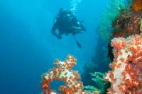 3-Day PADI Open Water 18-Meter Certification Course in Bali