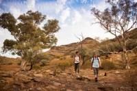 3-Day Small-Group Eco-Tour from Adelaide: Flinders Ranges