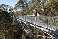 3-Day South West Tour from Perth Including Margaret River, Busselton and Albany