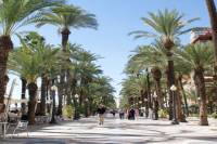 3-Hour Small-Group Walking Tour of Alicante