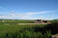 3 Hour Wine tour and Wine Tasting From Dijon