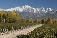 3-Night Tour to Mendoza by Air from Buenos Aires