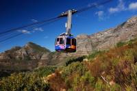 Table Mountain, Penguins & Cape Point Small Group Tour from Cape Town