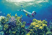 4-Day Cairns and Great Barrier Reef Tour