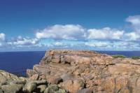 4-Day Tour from Perth Including Margaret River, Valley of the Giants Tree Top Walk, Albany and Wave Rock