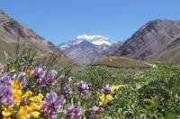 4-Day Trip in Mendoza and The Andes
