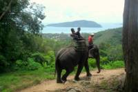 4 in 1 Safari Phuket