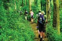 4-Night Hill Tribe Village Tour with Thai Jungle Trek from Chiang Mai