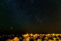 4-Night Marrakech to Fez Sahara Tour with Night in Desert Camp and Camel Trek