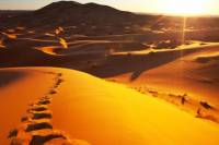 4-Night Private Tour to Dades Gorges, Merzouga and Fez from Marrakech including Camel Ride
