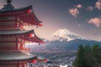 Private Full Day Sightseeing Tour to Mount Fuji and Hakone