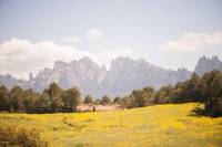Montserrat with Cogwheel Train, Tasting in a Boutique Winery with Tapas or Lunch