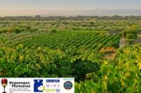 5 Day Alentejo Region Tour from Evora