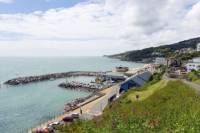 5-Day Isle of Wight and New Forest Tour from London
