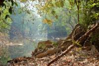 5-Night Umphang Trekking Tour from Bangkok