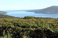 Canandaigua Wine Trail Experience