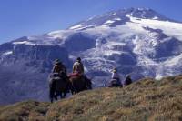 7-Day Andes Crossing from Mendoza to Chile by Horse