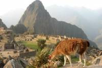 7-Day Lima and Cusco Tour with Overnight at Machu Picchu
