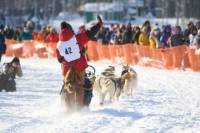 7-Day Winter Alaska Experience: Anchorage and Iditarod Trail Sled Dog Race