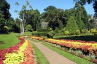 7-Night Discover Sri Lanka Tour