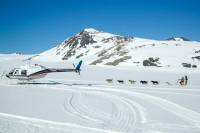 Alaska Helicopter and Glacier Dogsled Tour - Anchorage Area