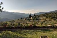 Small Group Chianti Wine Tasting with Seven Tuscan Wines
