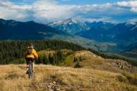 8-Day Private Cycling Tour in Carpathians from Bucharest