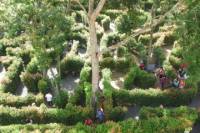 A-Maze Garden Admission Phuket