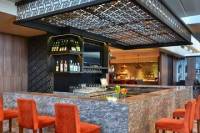 Delhi Indira Gandhi International Airport Plaza Premium Lounge (Departure)