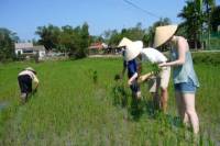 Afternoon Countryside Bike Tour from Hoi An