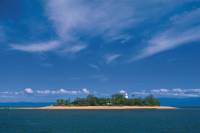 Afternoon Low Isles Snorkeling and Sailing Cruise from Port Douglas
