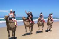 Agadir 2 Hour Camel Riding